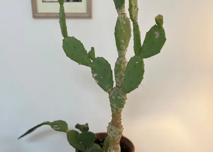 L'escale Barbieux Hébergement de vacances *